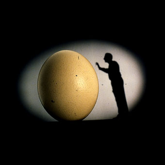 Frame del film Il mnemonista: silhouette di un uomo affianco a un uovo gigante