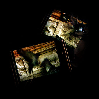 Frame da video con particolari architettonici di Palazzo Fortuny e piccioni