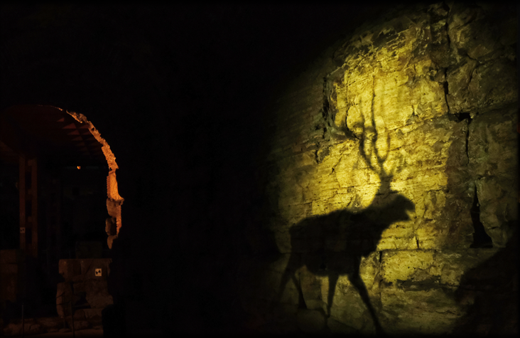 Ombra di cervo su un muro